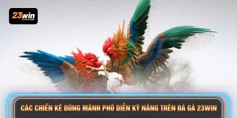 Các chiến kê dũng mãnh phô diễn kỹ năng trên đá gà 23WIN