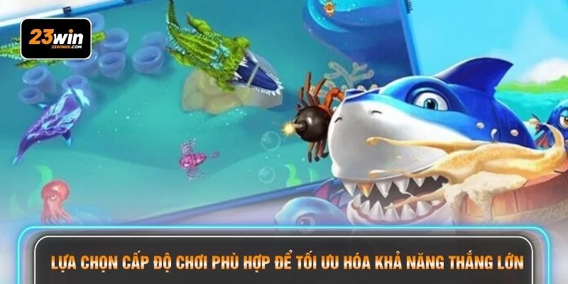 Lựa chọn cấp độ chơi phù hợp để tối ưu hóa khả năng thắng lớn