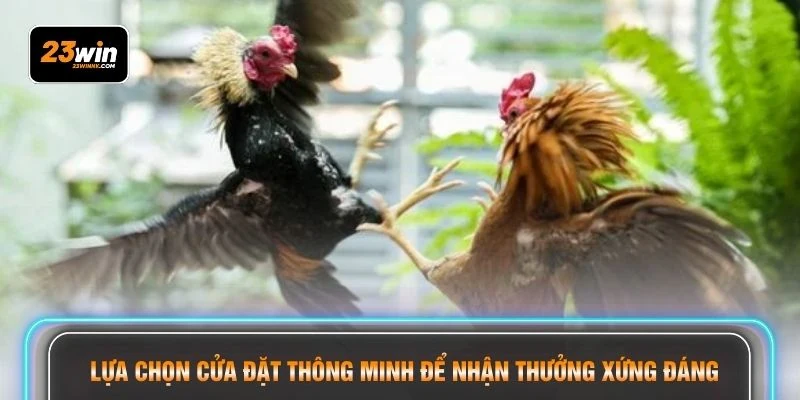 Lựa chọn cửa đặt thông minh để nhận thưởng xứng đáng